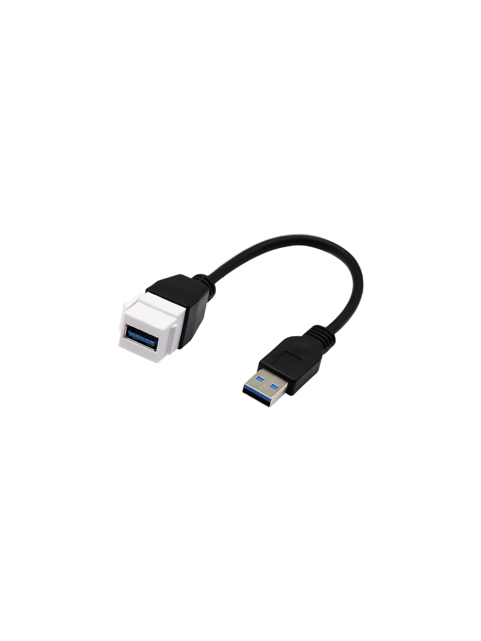 Conector Wall Plate 4K 20 CMS                                         